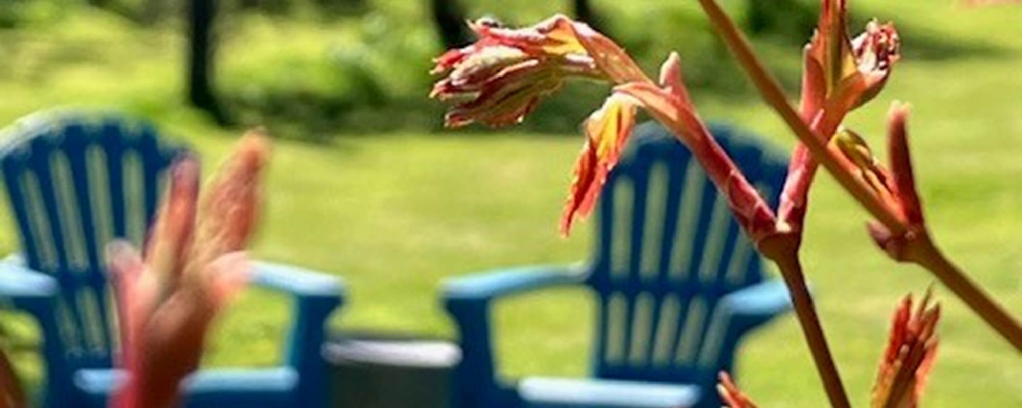 aufildeleau-cotentin-bnb-chambre-hote-jardin