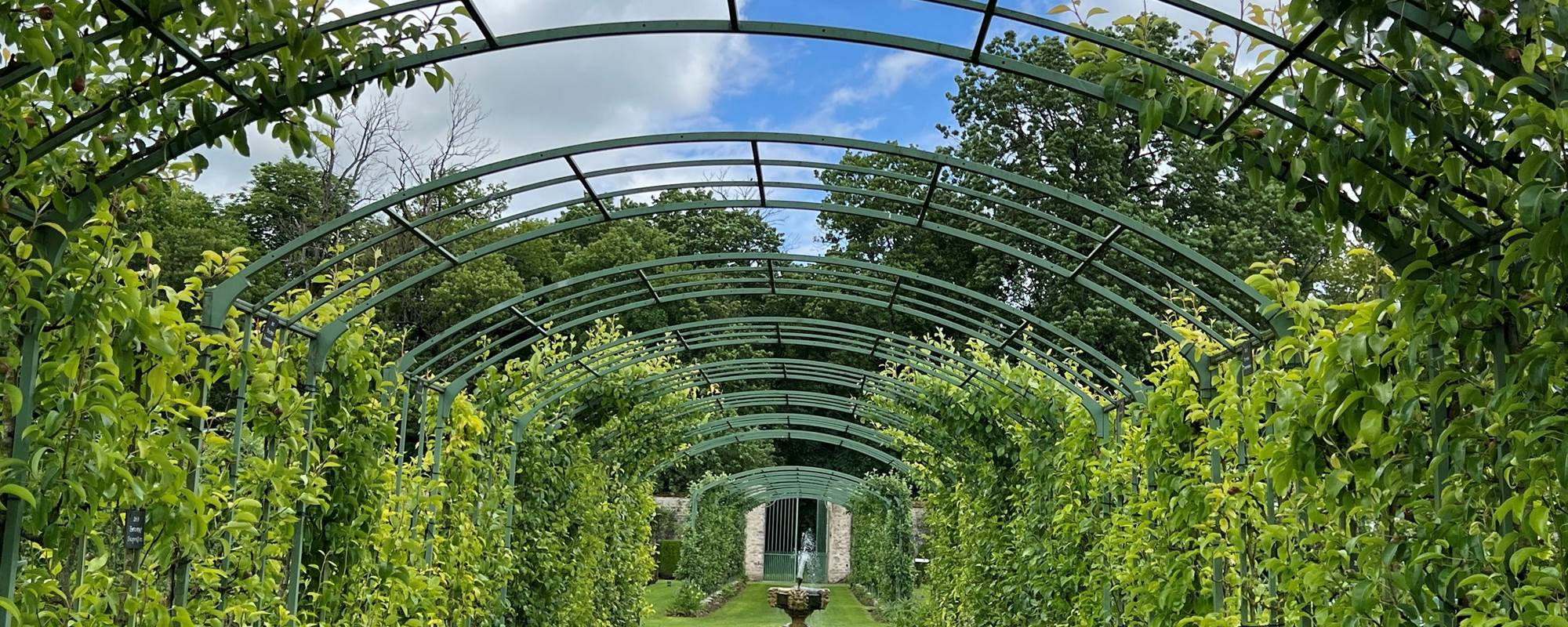 ALLEE CENTRALE DES VERGERS-POTAGERS