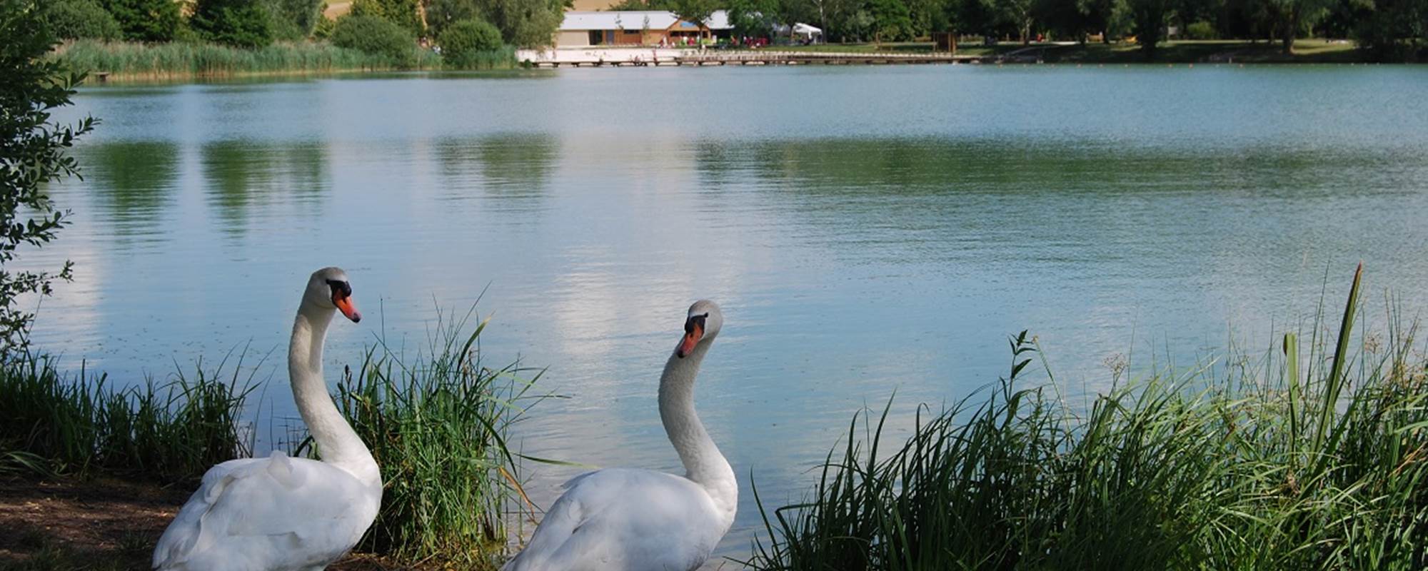 lac de paisy (11)
