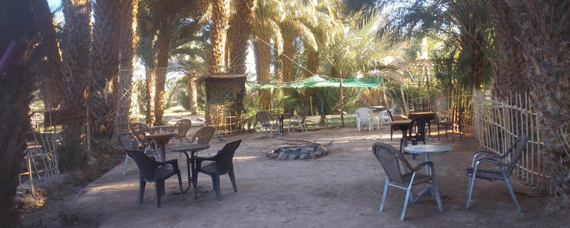 WhatsApp Image 2025-01-21 at 11.56.20 (2)