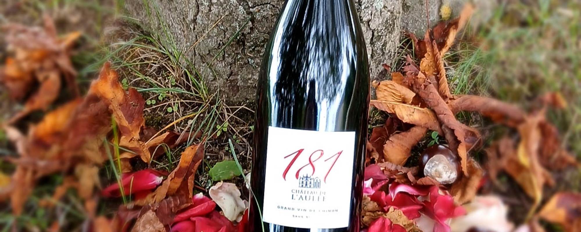 03577e0c-91cc-4bf8-b6d2-41dda102aabe