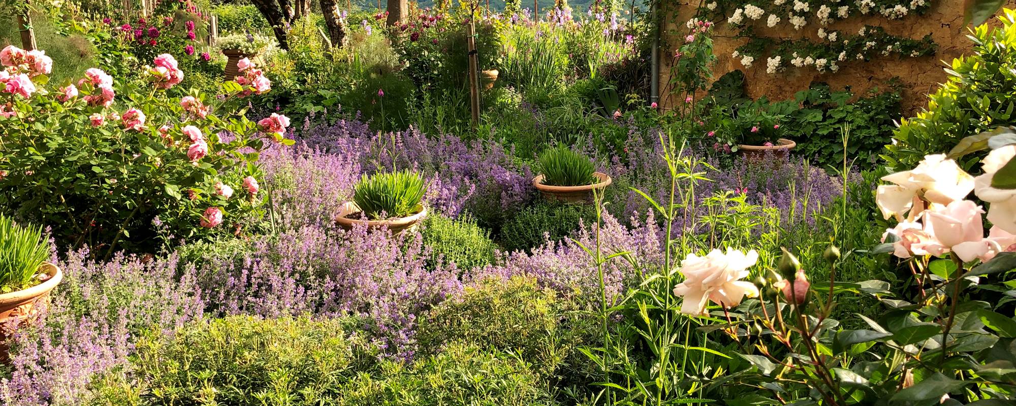 jardin-fleuri-privé-gite-domme-dordogne