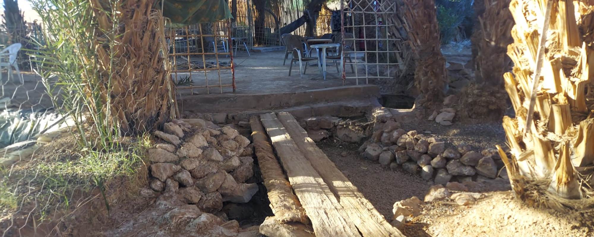 WhatsApp Image 2025-01-21 at 11.56.20 (1)