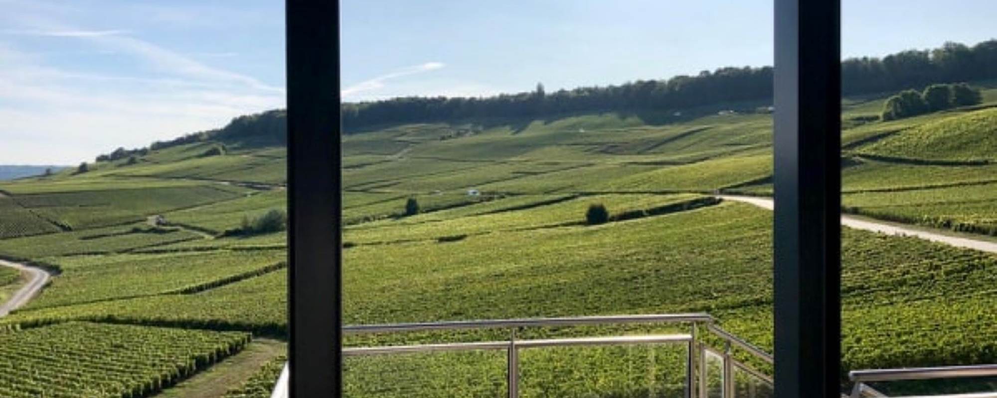 vue sur les vignes au champagne  ARNOULT