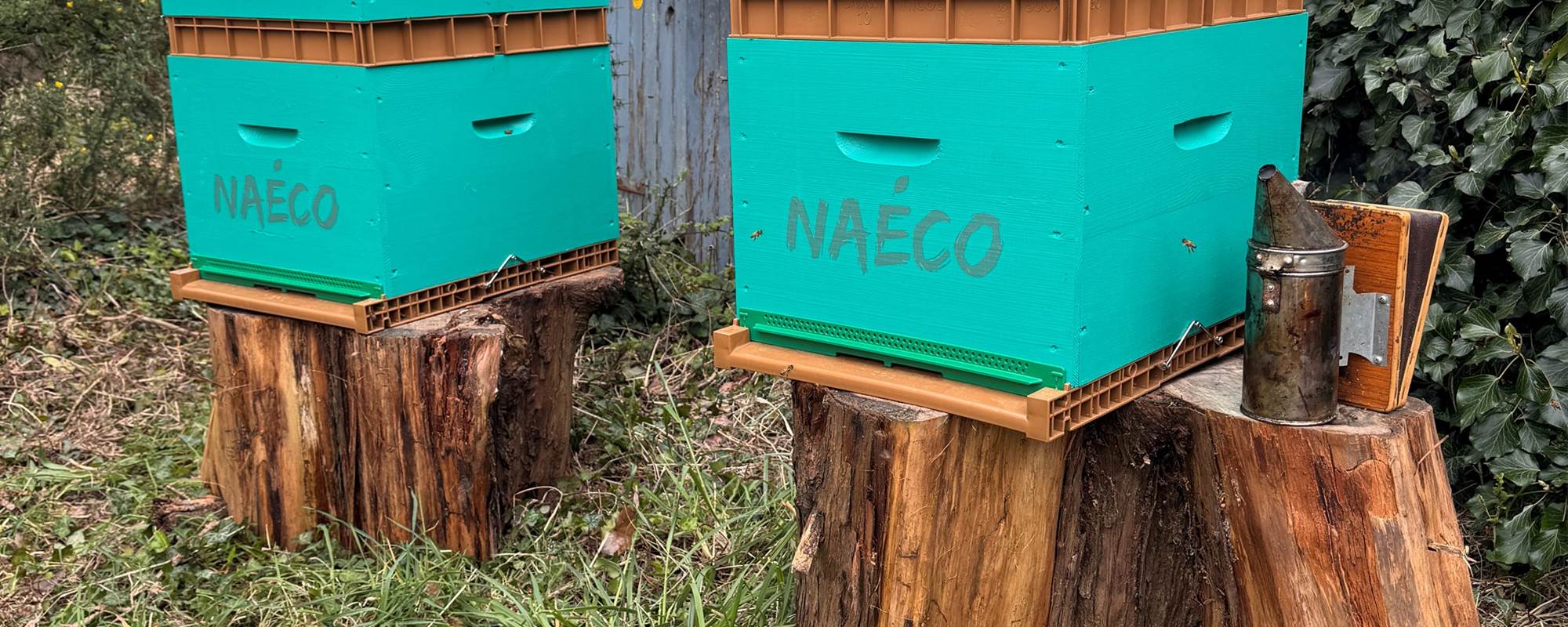 Miel Erdeven Installation des ruches de Sébastion (21)