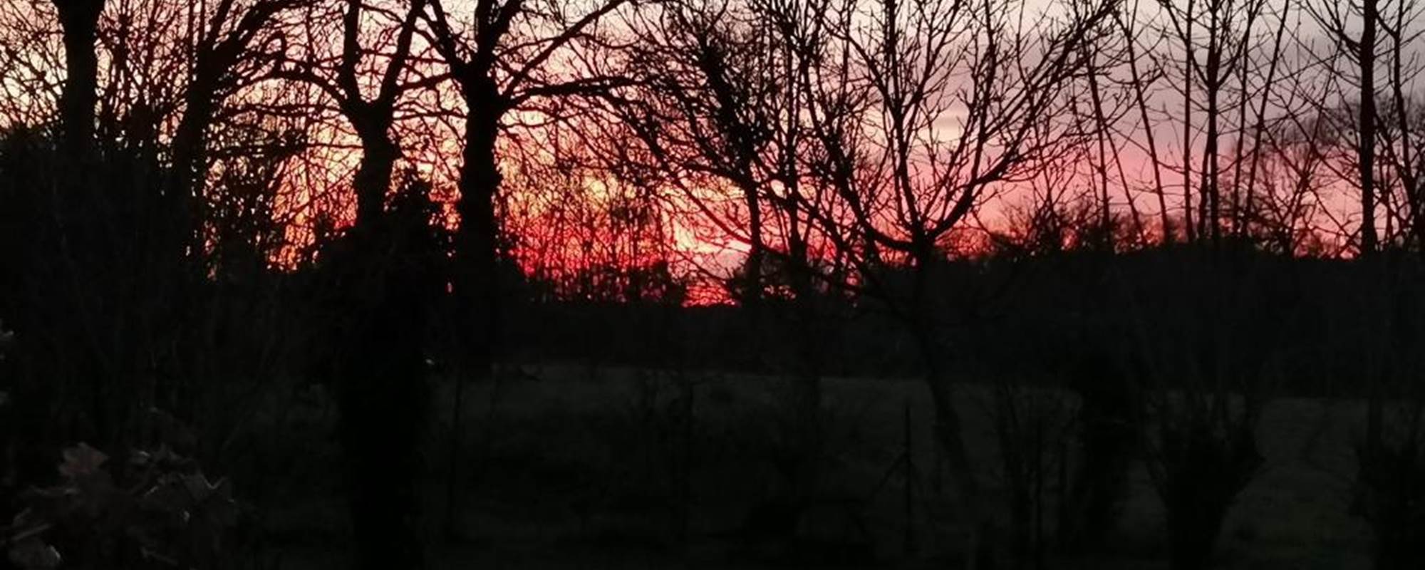 AR-LITORIENN-Chambre-d'Hôte-à-Paimpont