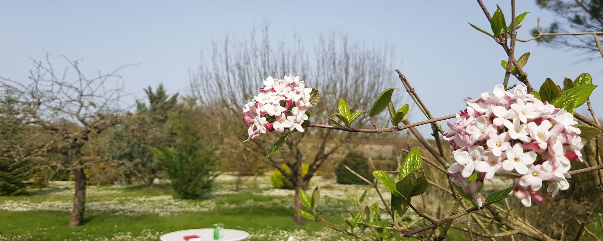 Domaine de Pelouaille - jardin
