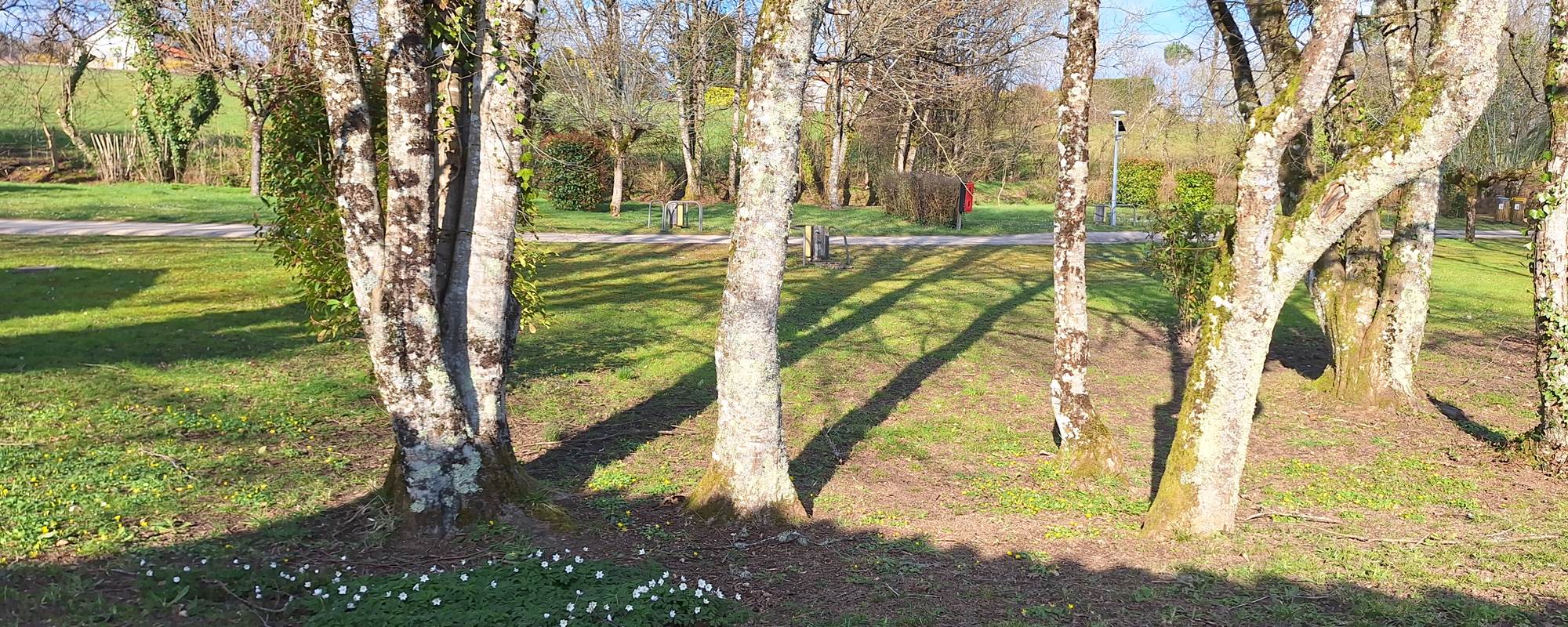 lepetitbois46_Leyme_emplacements camping_printemps2025