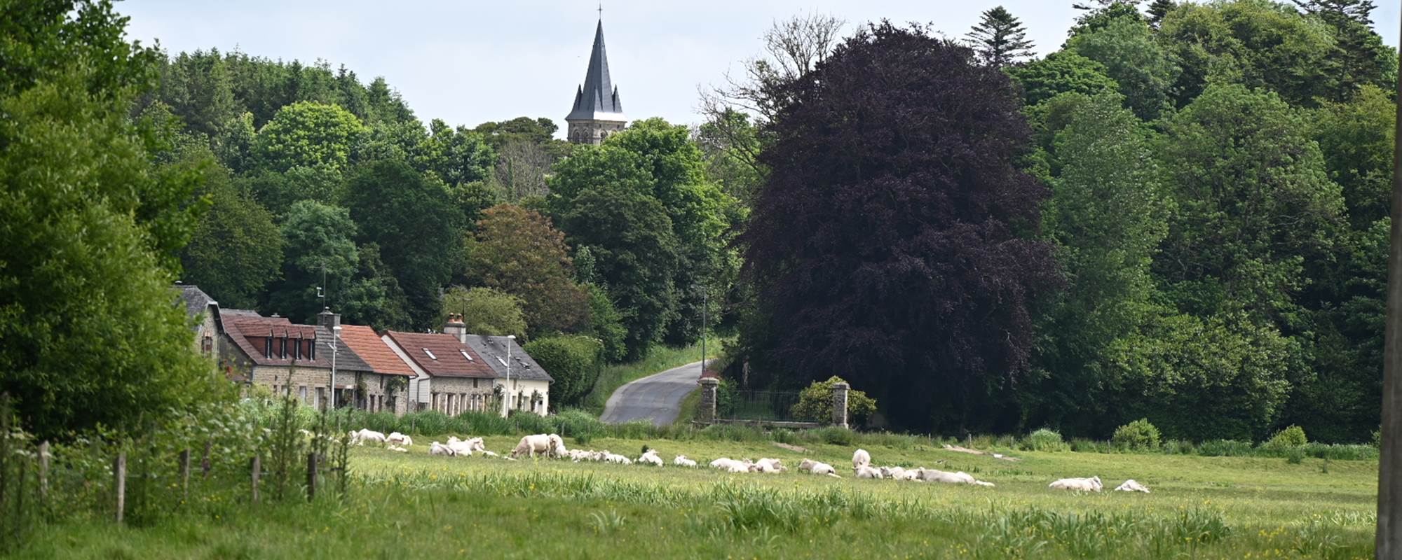 aufildeleau-cotentin-bnb-chambre-hote-le vast