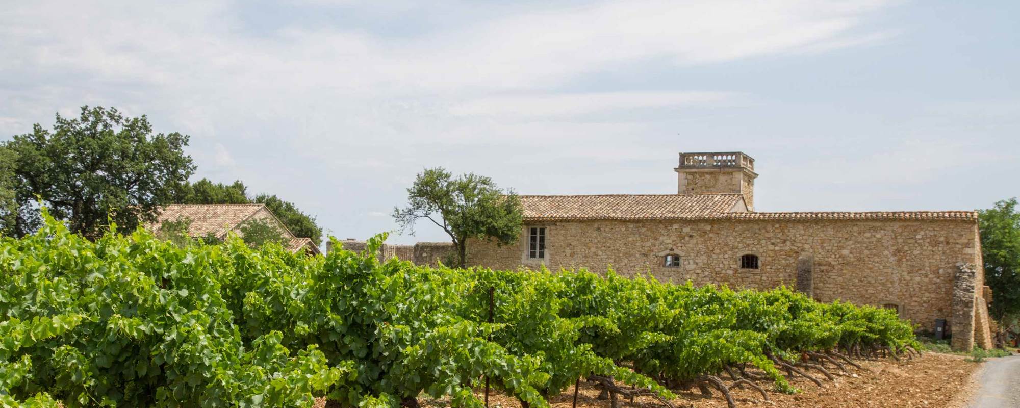 Terrasse aménagée au calme avec vue sur les vignobles du Languedoc