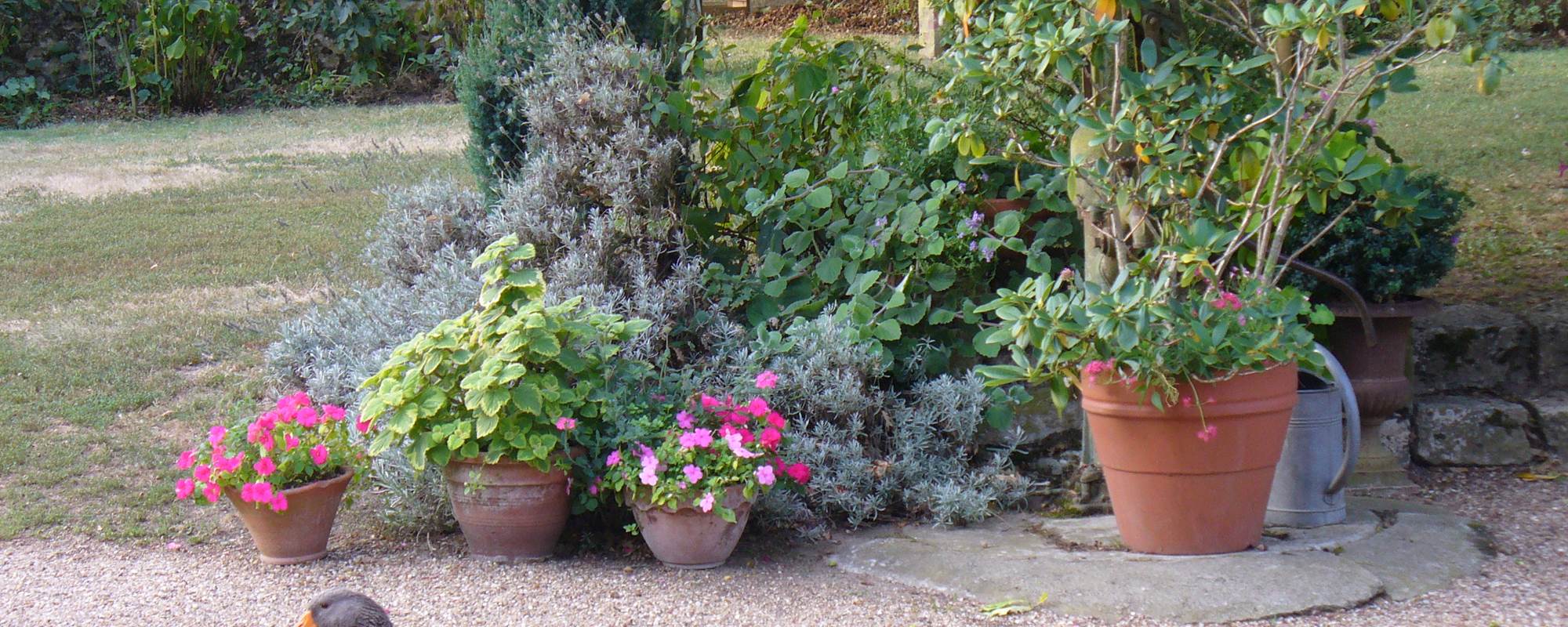 Le Clos de la Chesneraie