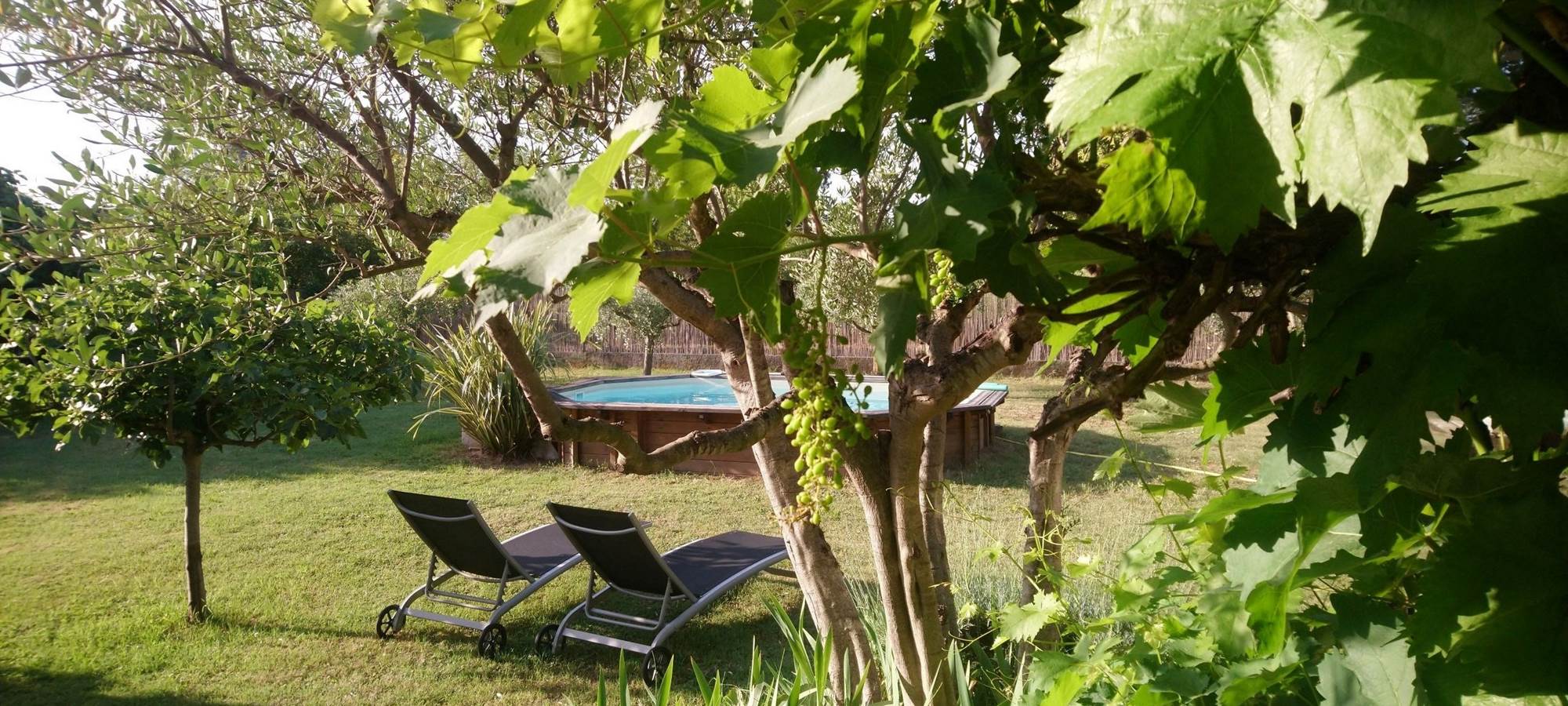 Chambre d'hôtes CIGALEO Vue de la chambre
