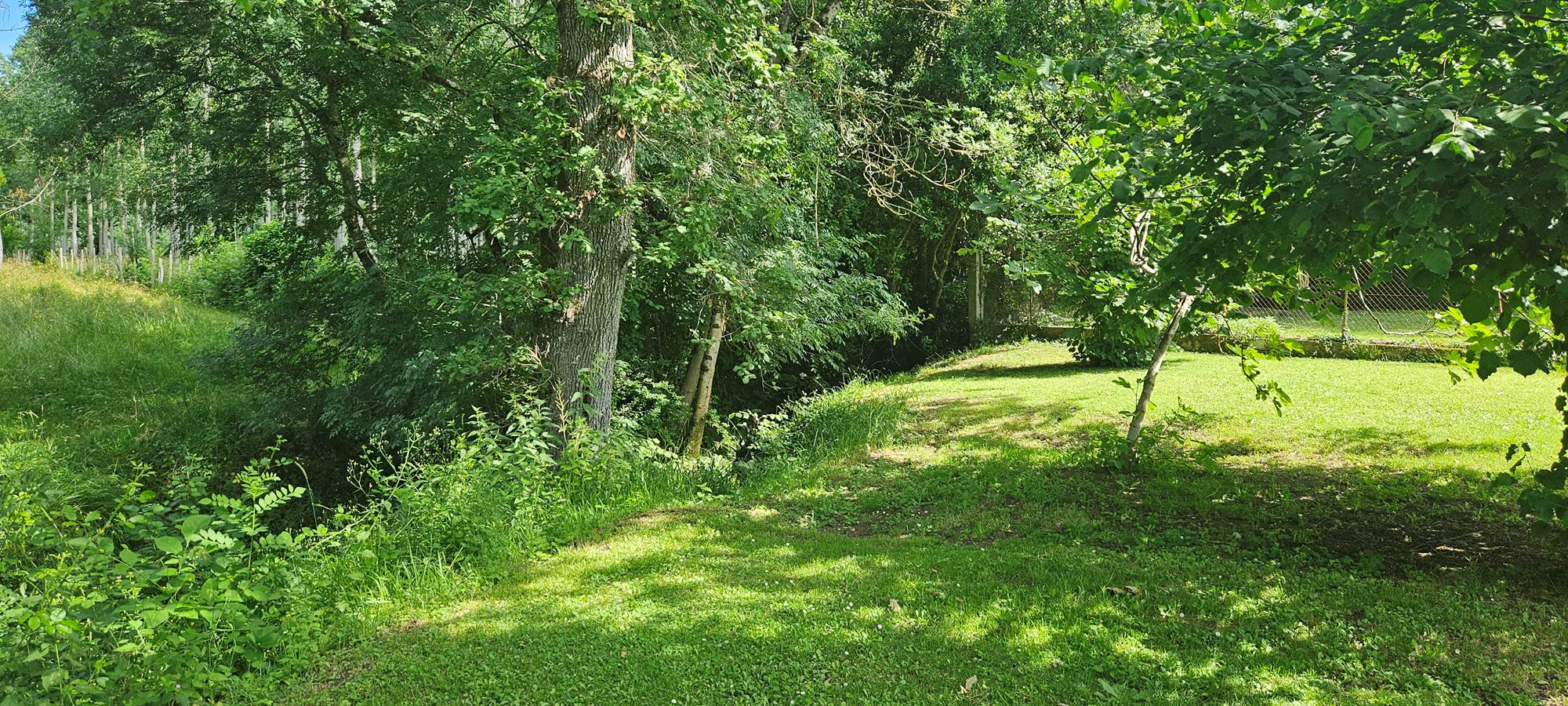 Jardin arboré