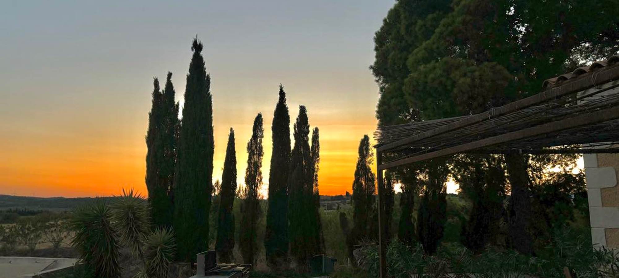 453246721_471131719064277_3744442234276454_n