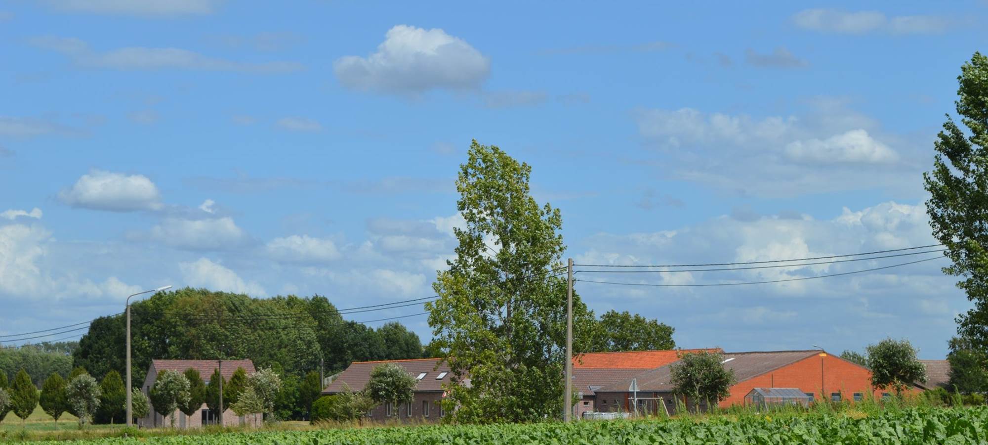 GÎTE DU CHEVAL BLANC - Alentour