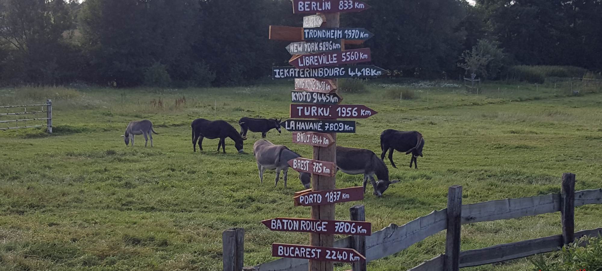Et oui on est venu de la aux mout'ânes
