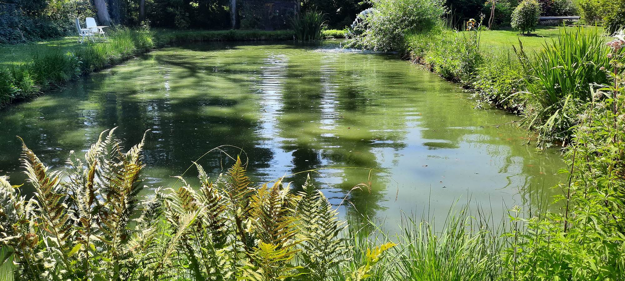 le bassin