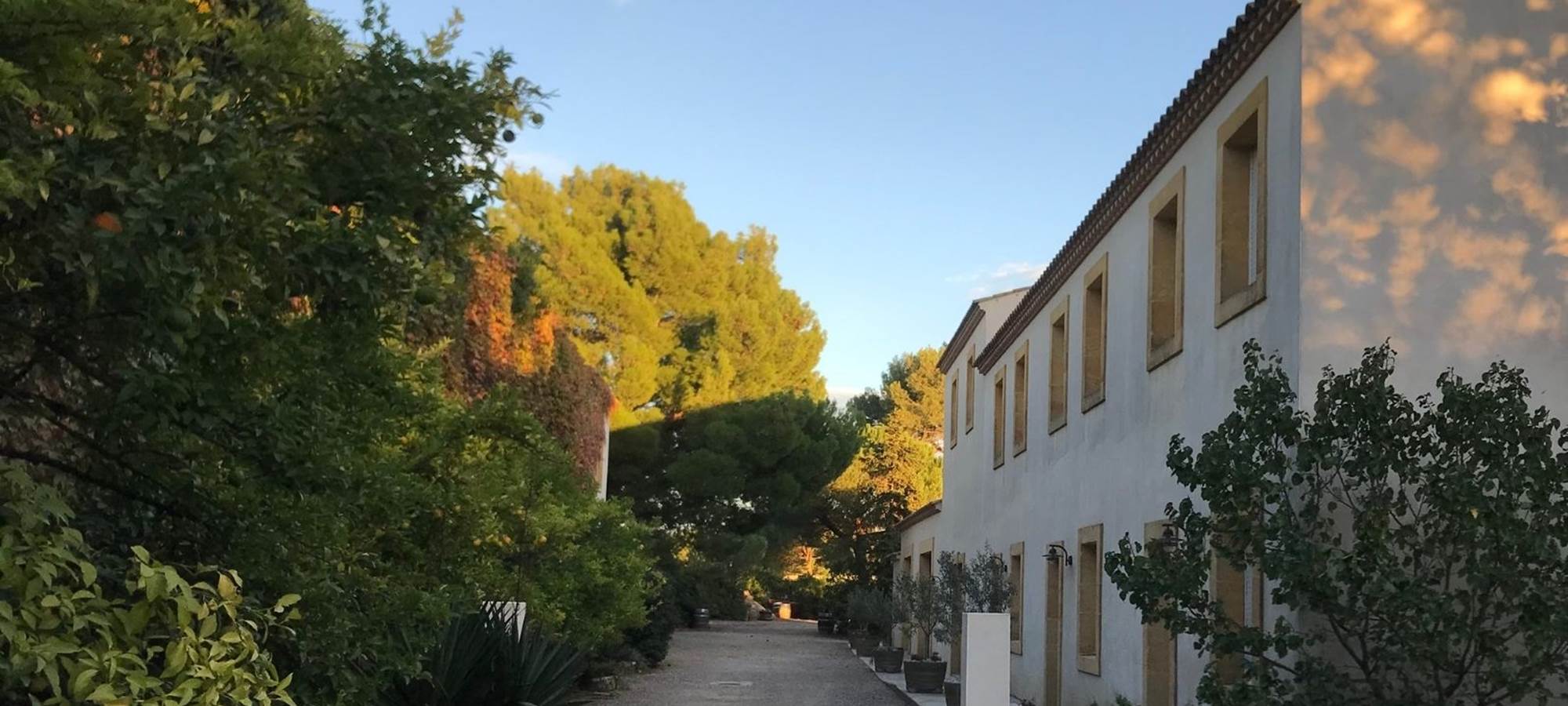 Couché de soleil à l'Herbe Sainte +3000 heures de soleil par an