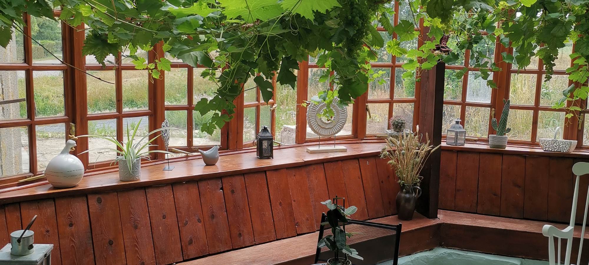 Le jardin d'hiver avec sa vigne