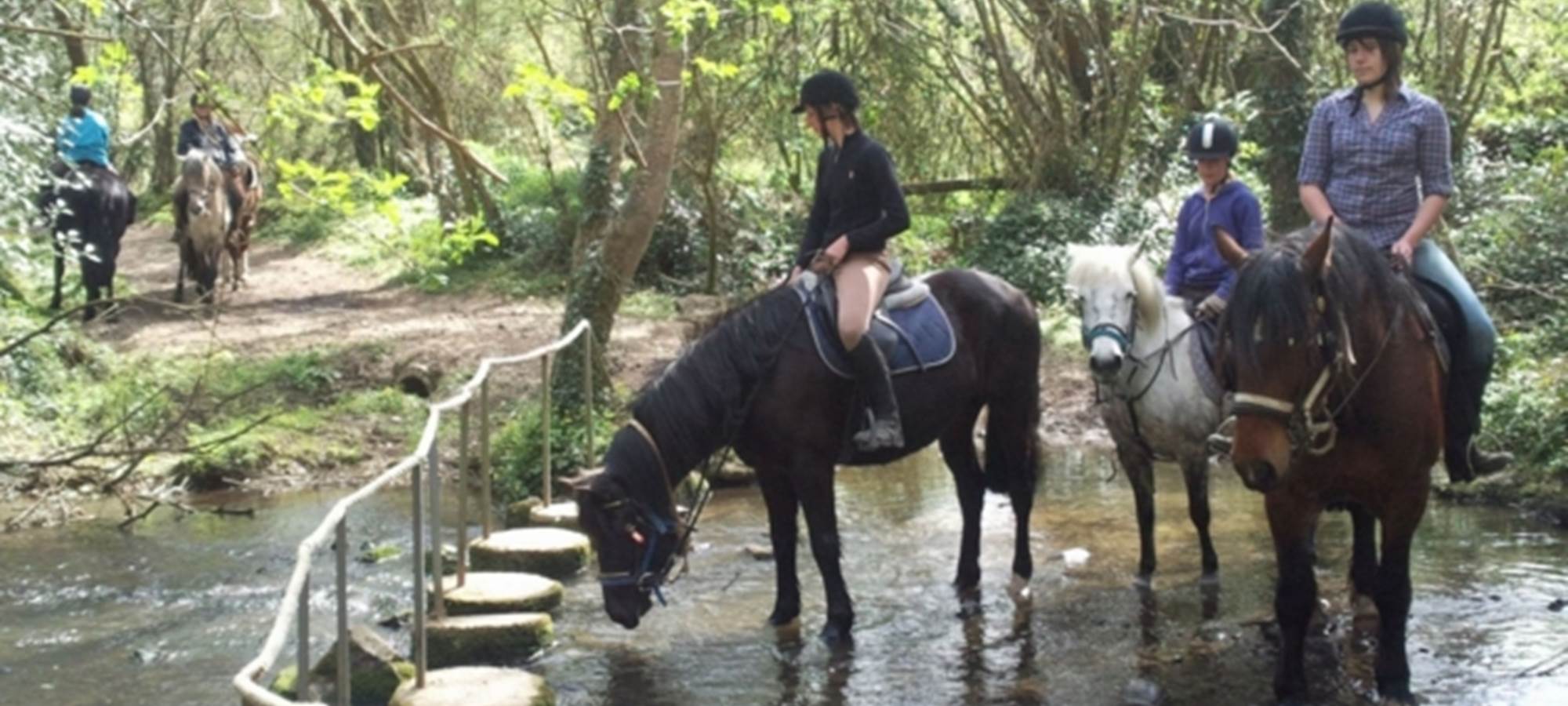 Promenade equestre  rivière  3h