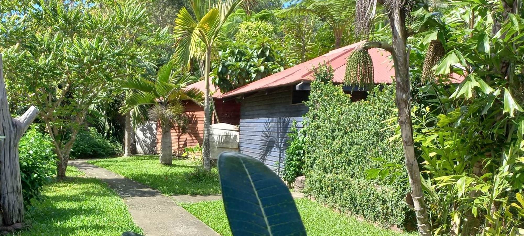 LES BUNGALOWS "CONFORT"