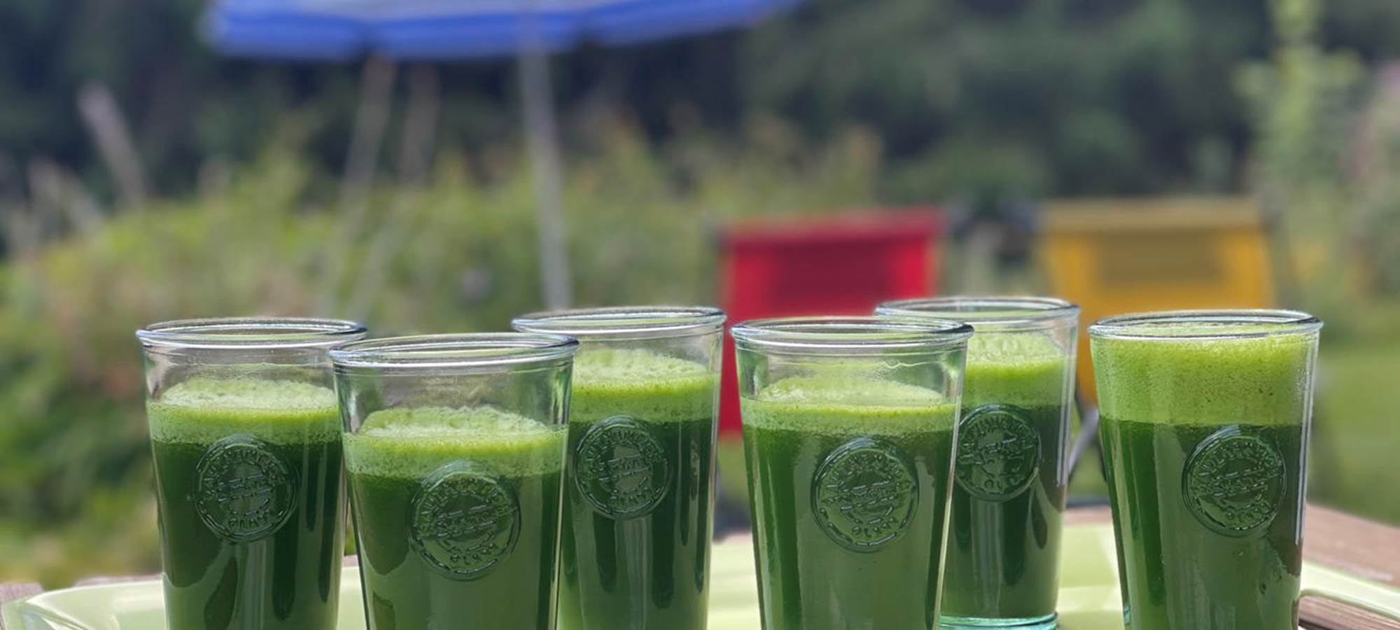 Nos jus de légumes bio, préparés sur place chaque jour pour accompagner votre processus de détoxination avec plus de douceur.