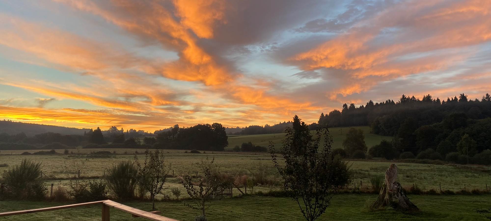 Les terres de la chouette, la Roulotte du Verger depuis sa terrasse