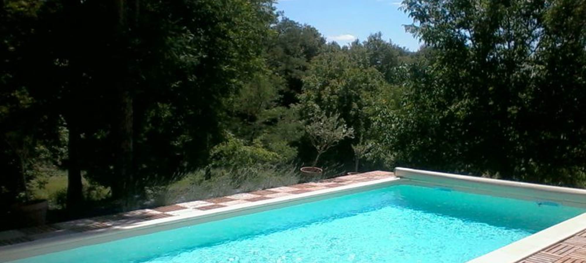La piscine et la vue sur le jardin