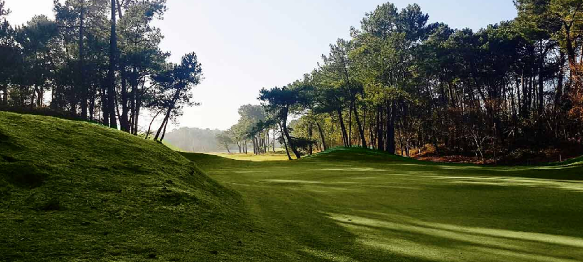 Vue Golf au bout du jardin