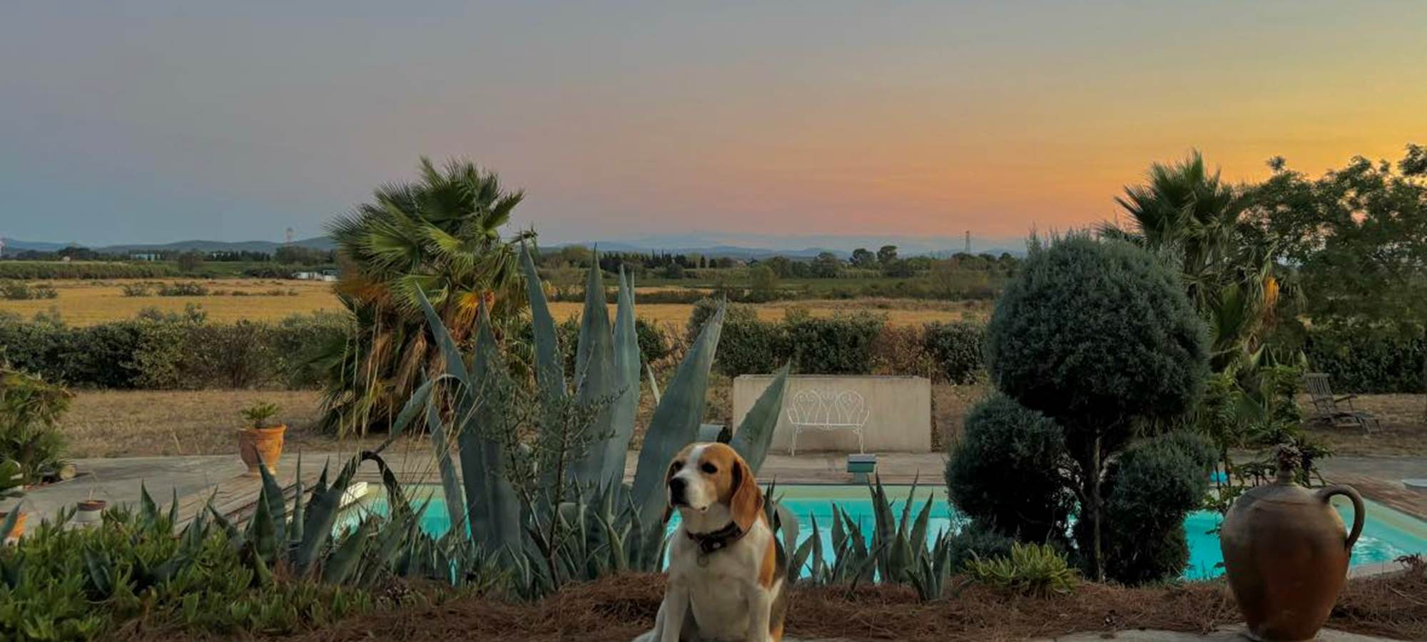 453294565_815168727359619_6243600828995480690_n