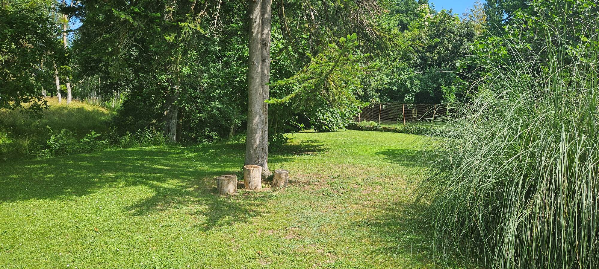 Jardin arboré