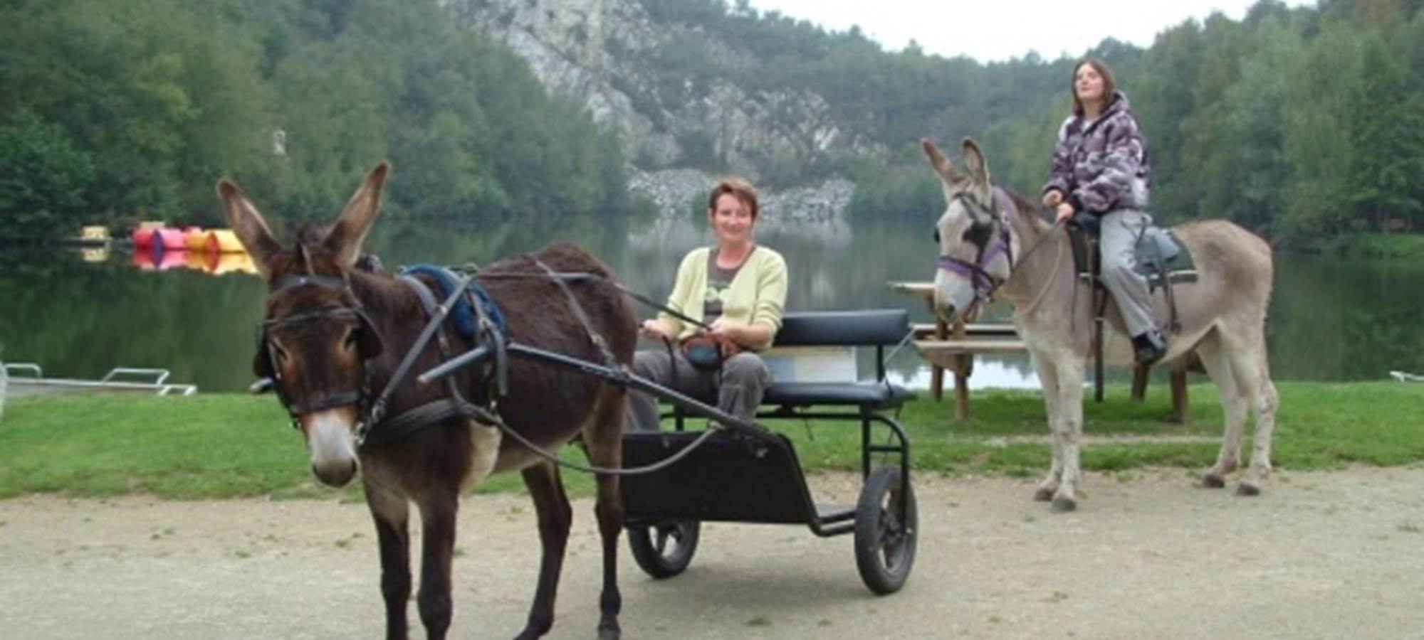 Promenade en libre montées et attelées