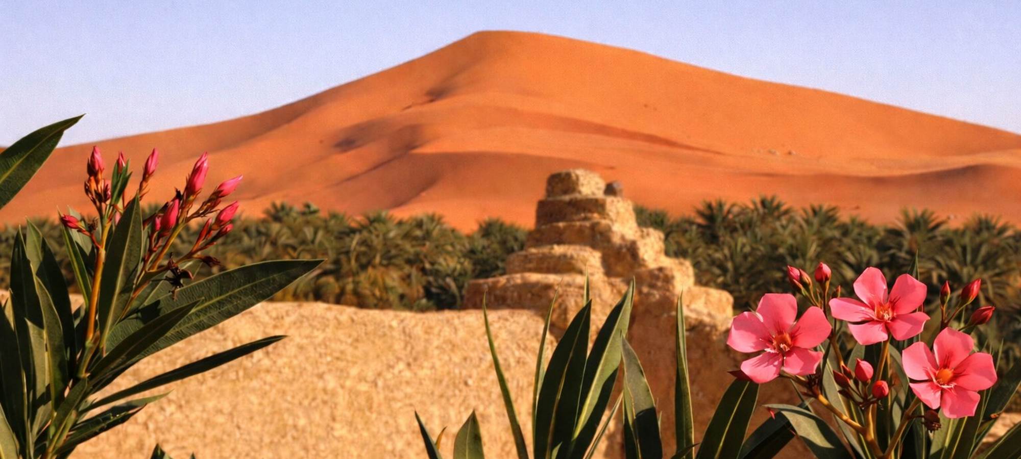 La vue depuis la terrasse de l'auberge
