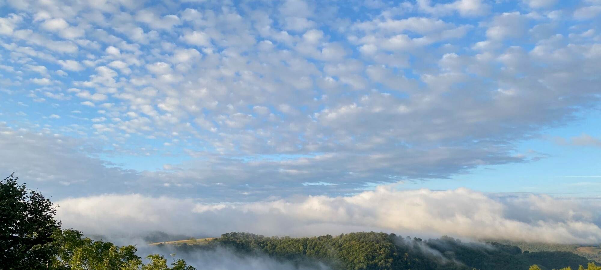 Maison d'hôtes à Campuac
