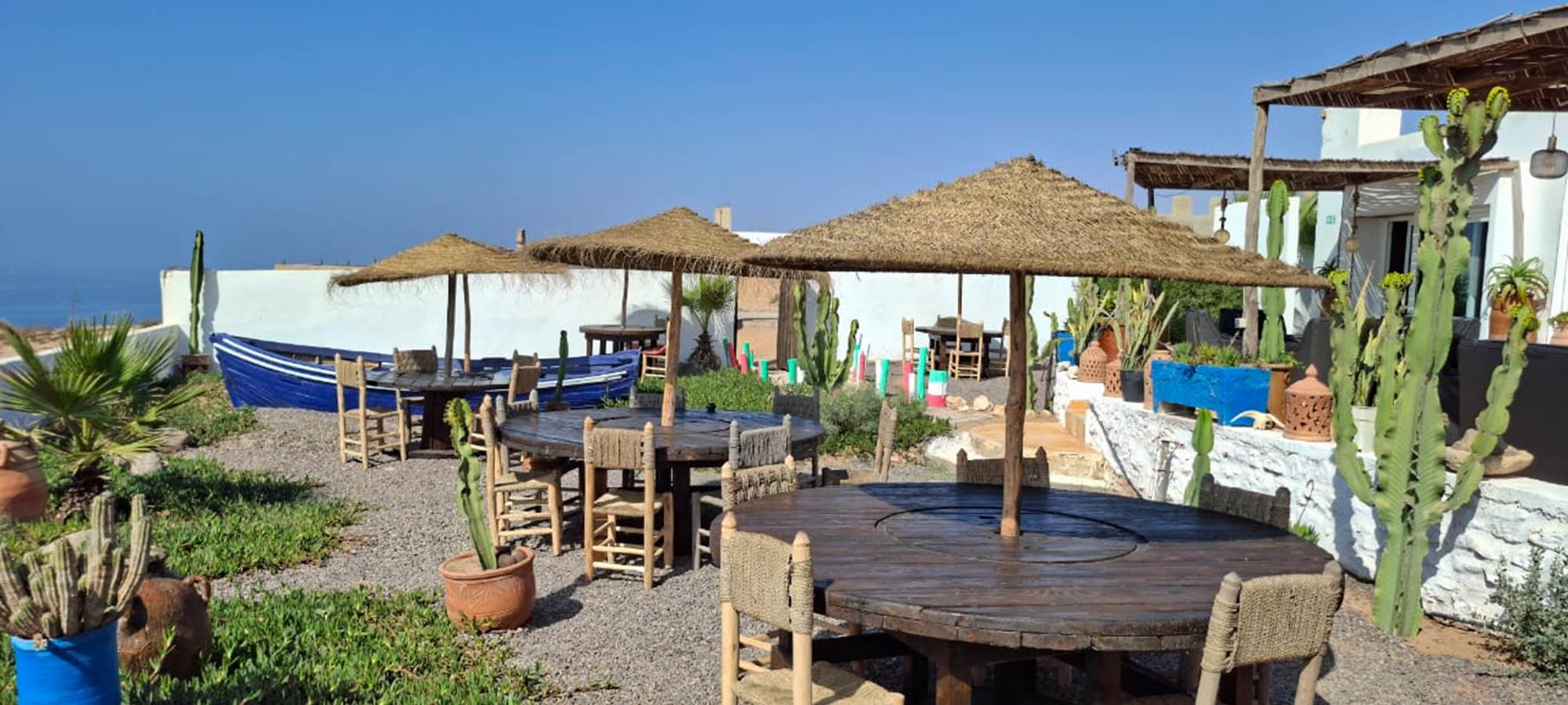 WhatsApp Image 2025-10-23 at 08.43.49