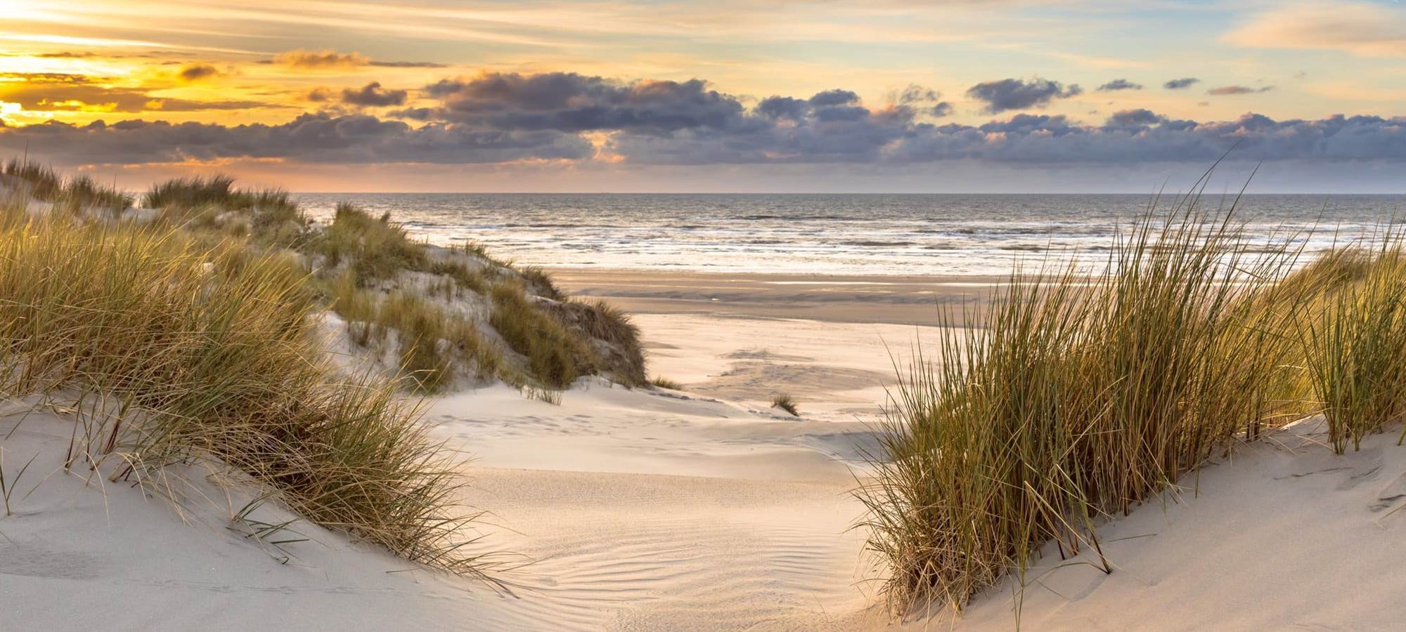 VILLA DES JAULAINES / LOCATION DE VACANCES SUR L'ÎLE DE RÉ