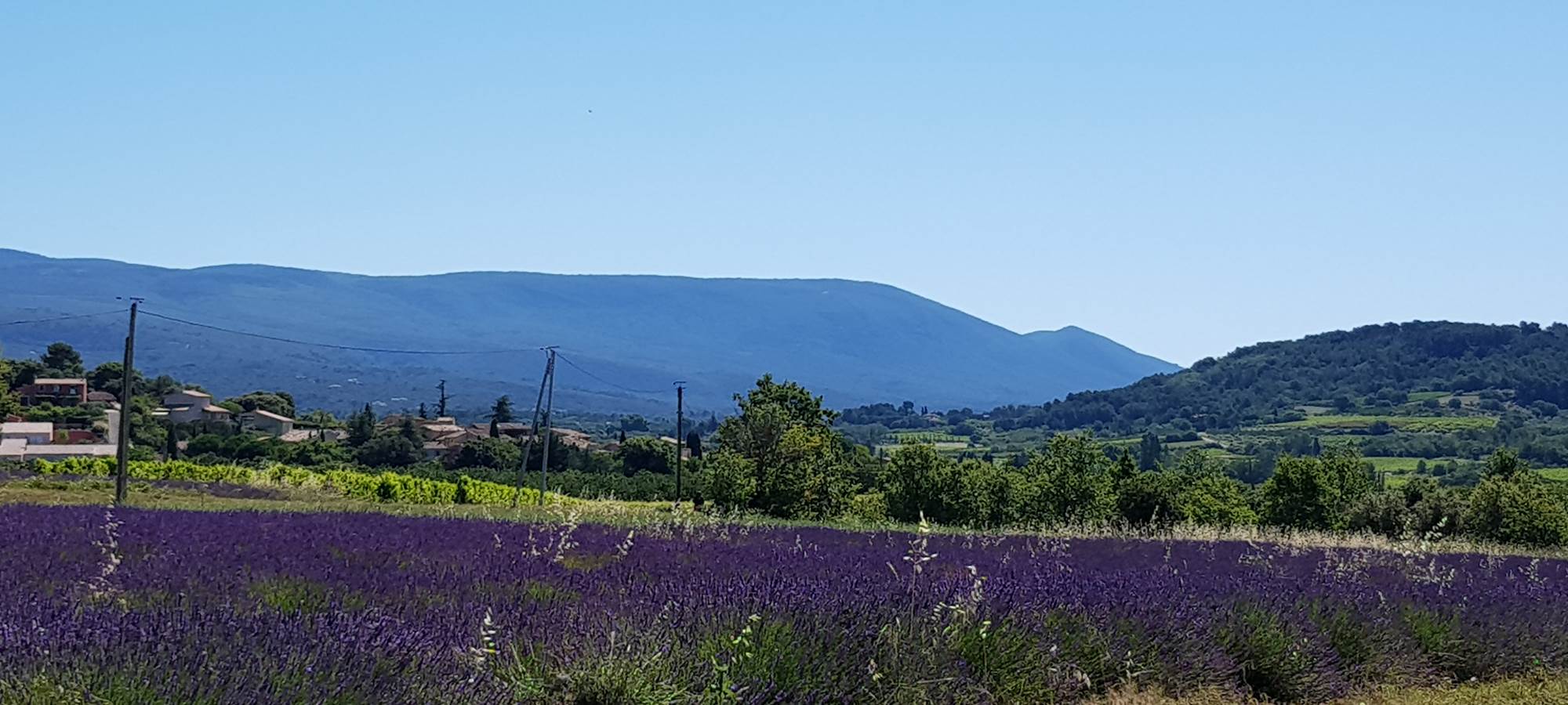 La plaine de Sylla à l'entrée des gites Luberon Lub'heureux