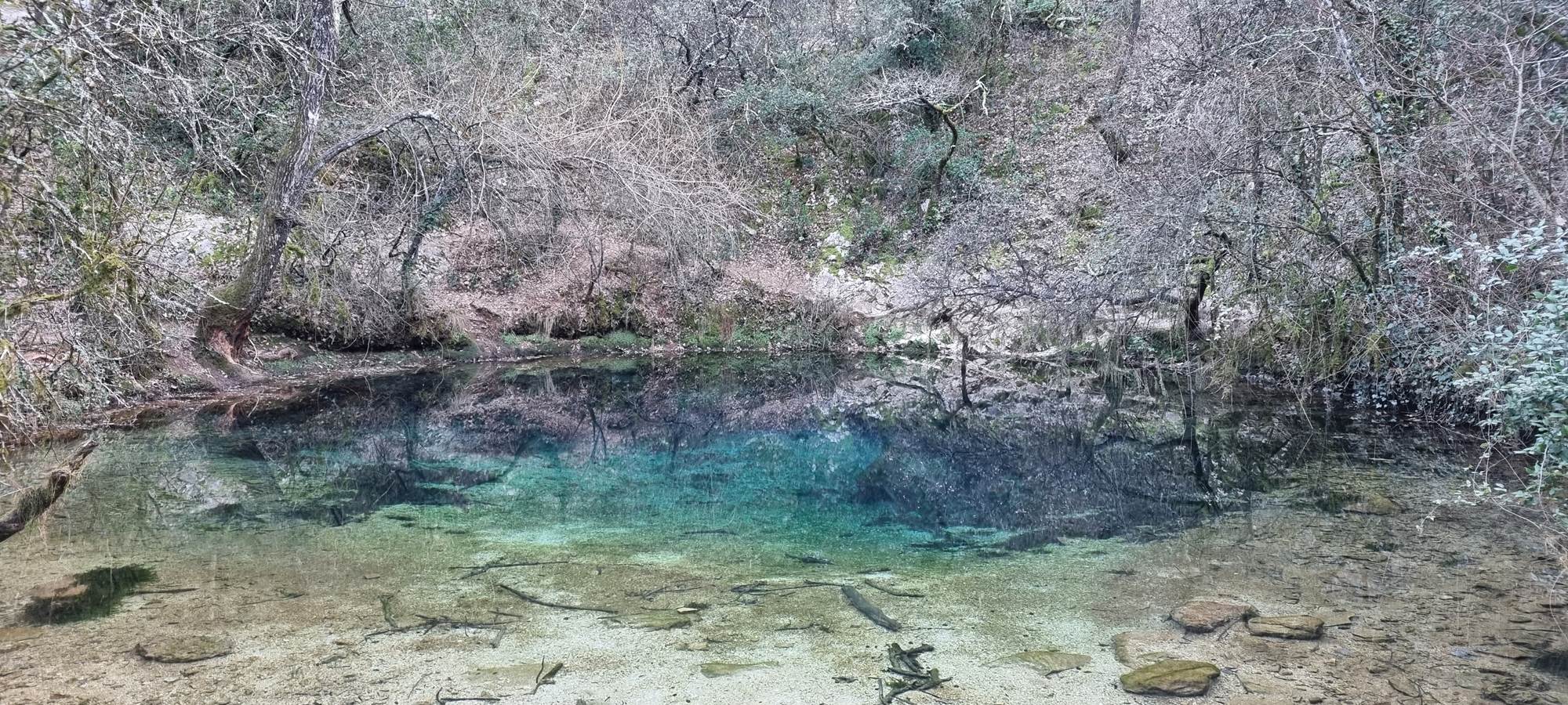 Résurgence Font Vive