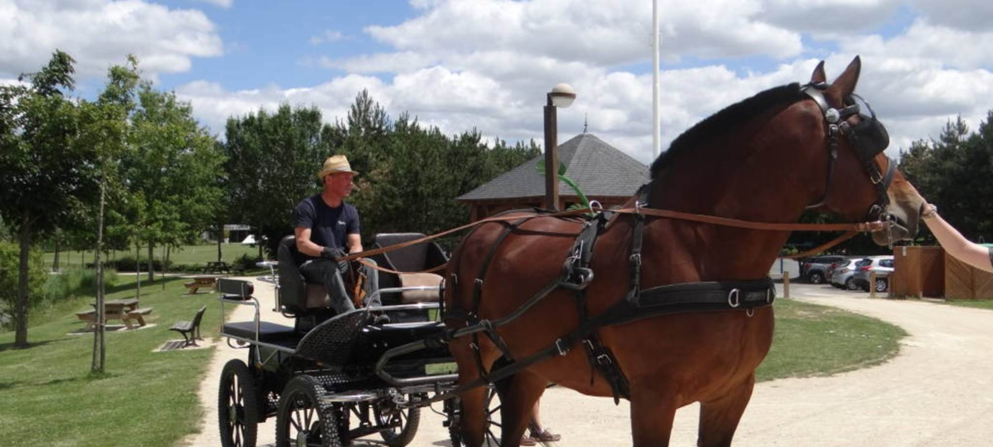 Balade-cheval-Caleche-Loretaine