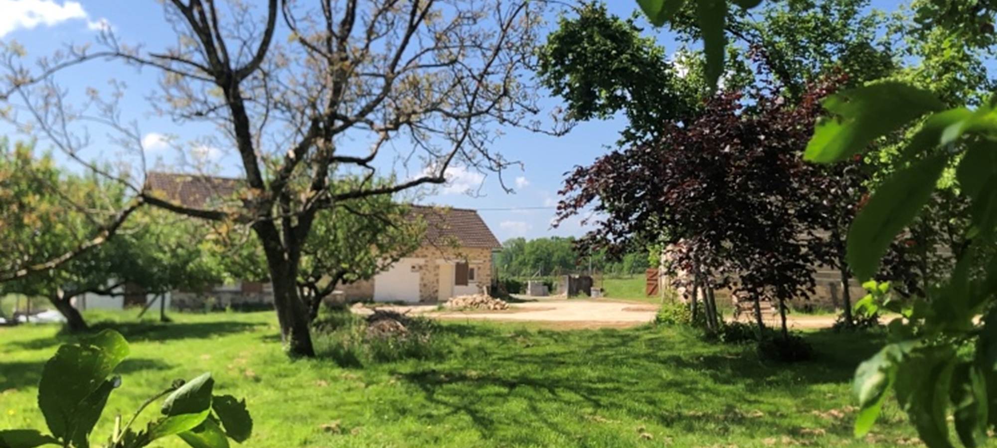 Cadre bucolique gîte "La Suite"