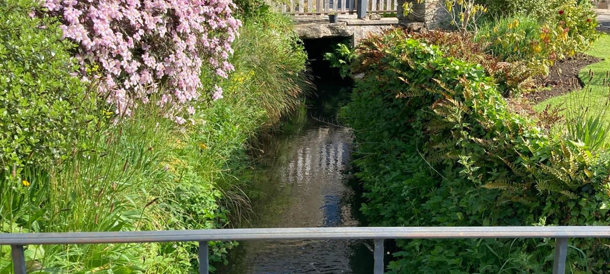 aufildeleau-cotentin-bnb-chambre-hote-le vast