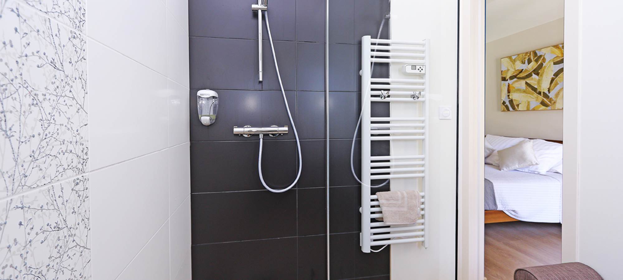 Esprit du Clain (13)BD