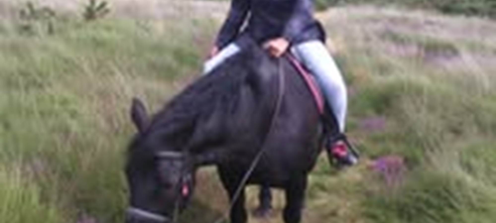 Promenade montée accompagnée Mont de Doville