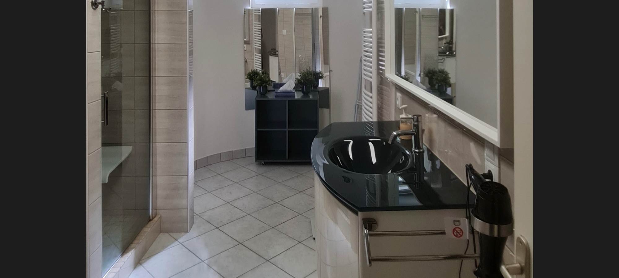 VILLA DU LAC VICHY - salle de bain douche