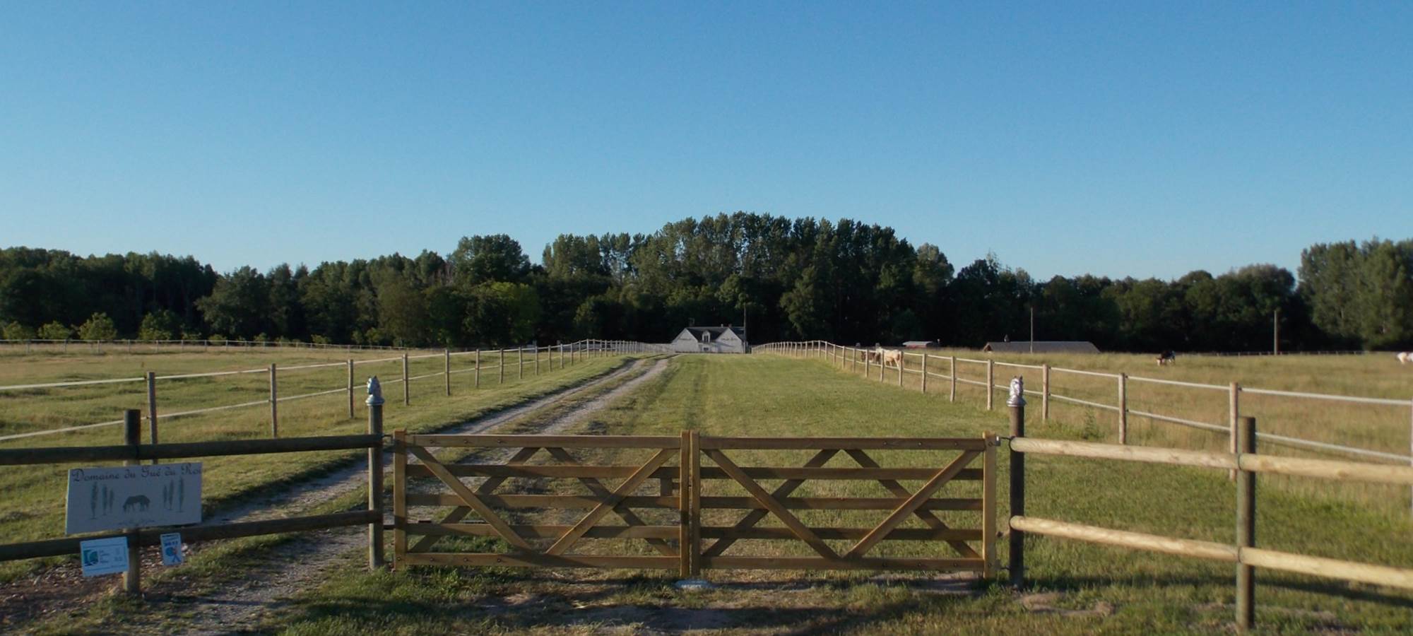Domaine du Gué du Roi Allée