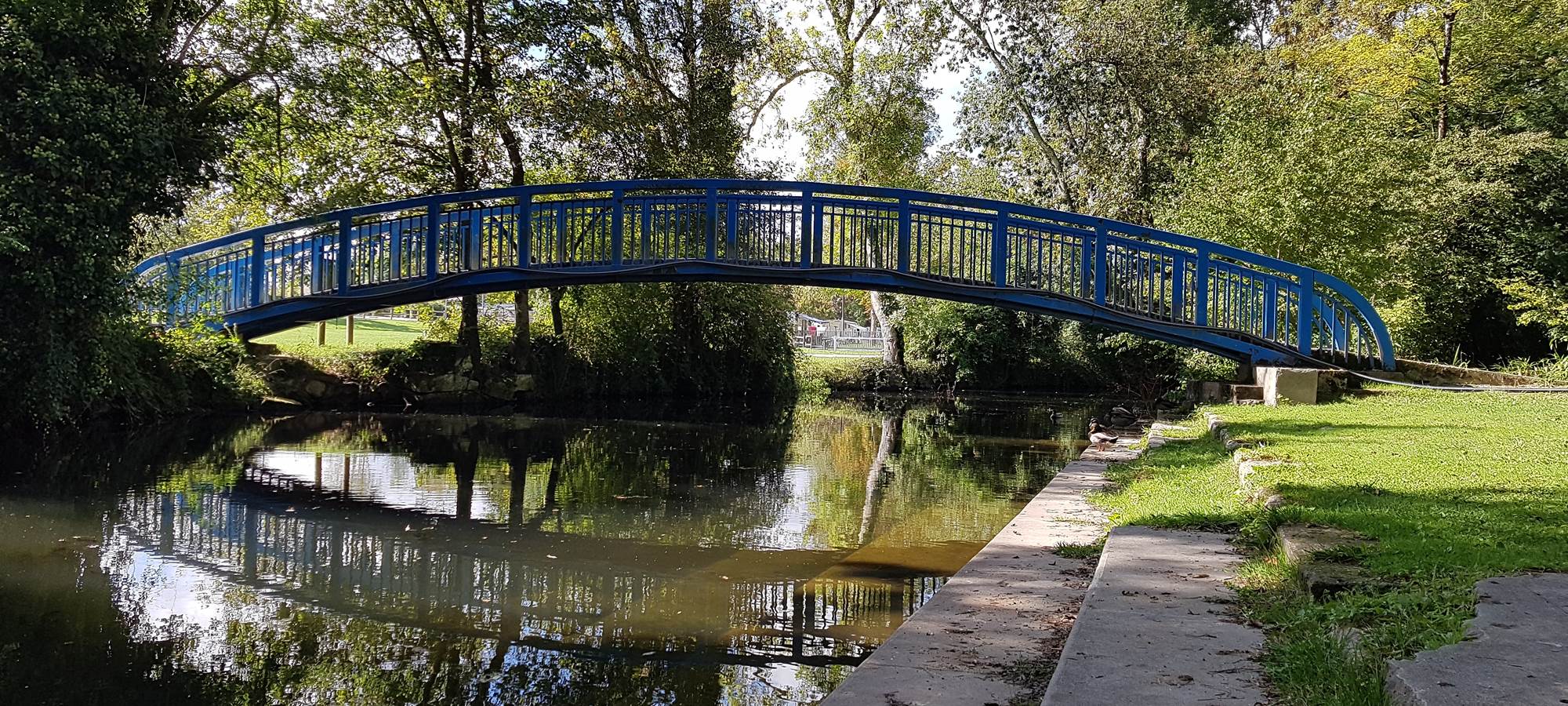 Un peu de pain dans le sac pour les canards svp