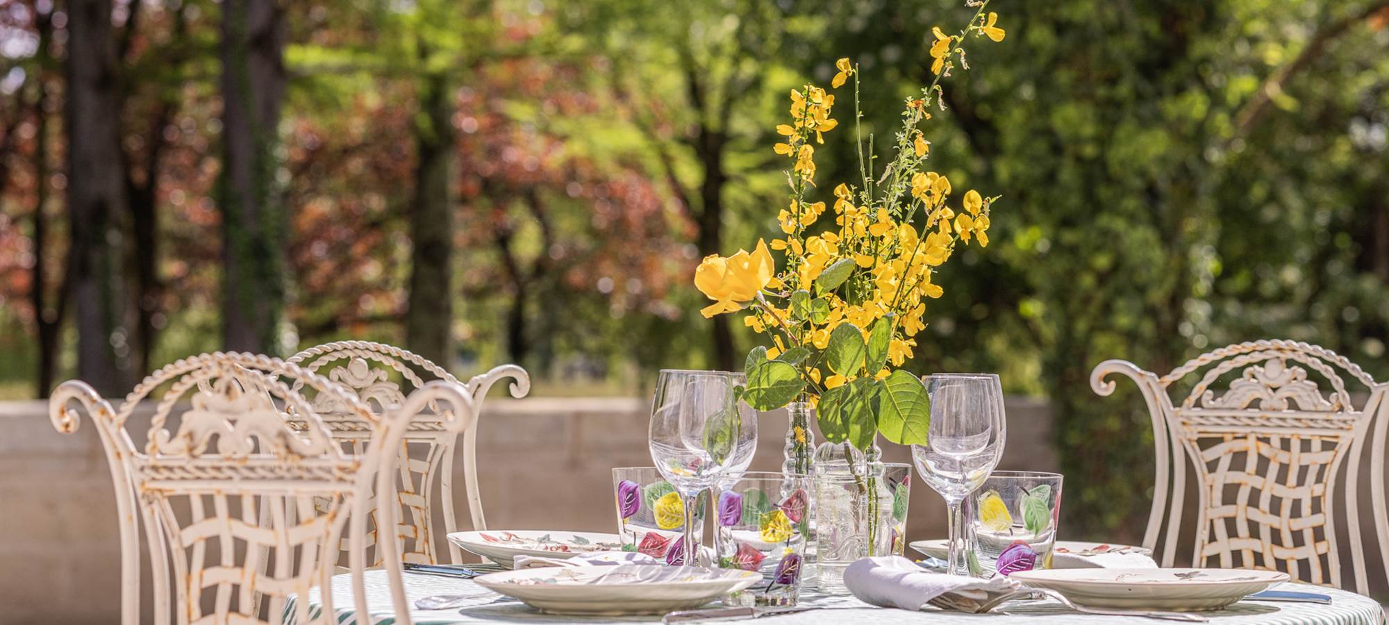 Château Sénéjac - Le Pian Médoc - Chambres d'hôtes