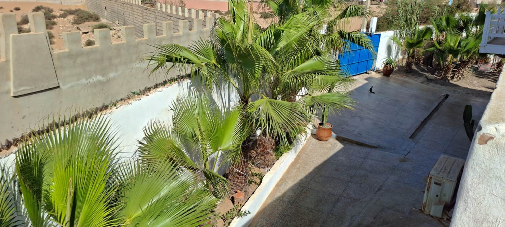 WhatsApp Image 2025-10-23 at 08.36.15