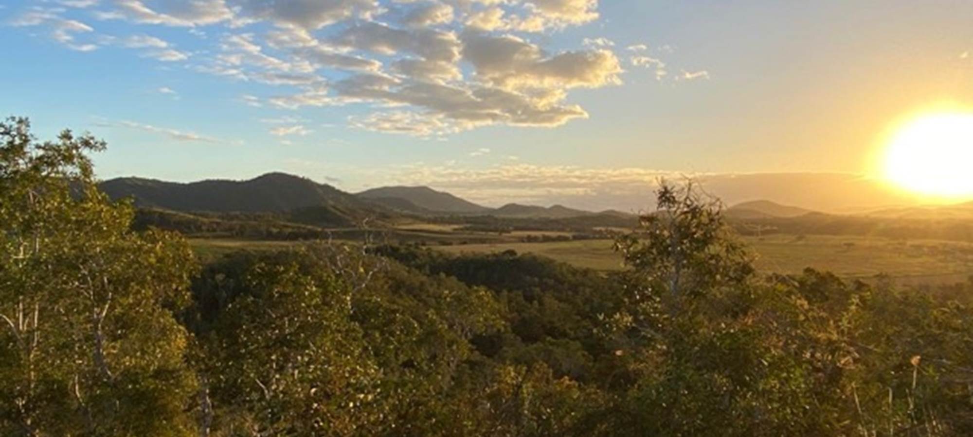 5441a071-481d-4076-818d-dbe88126d531 Medium