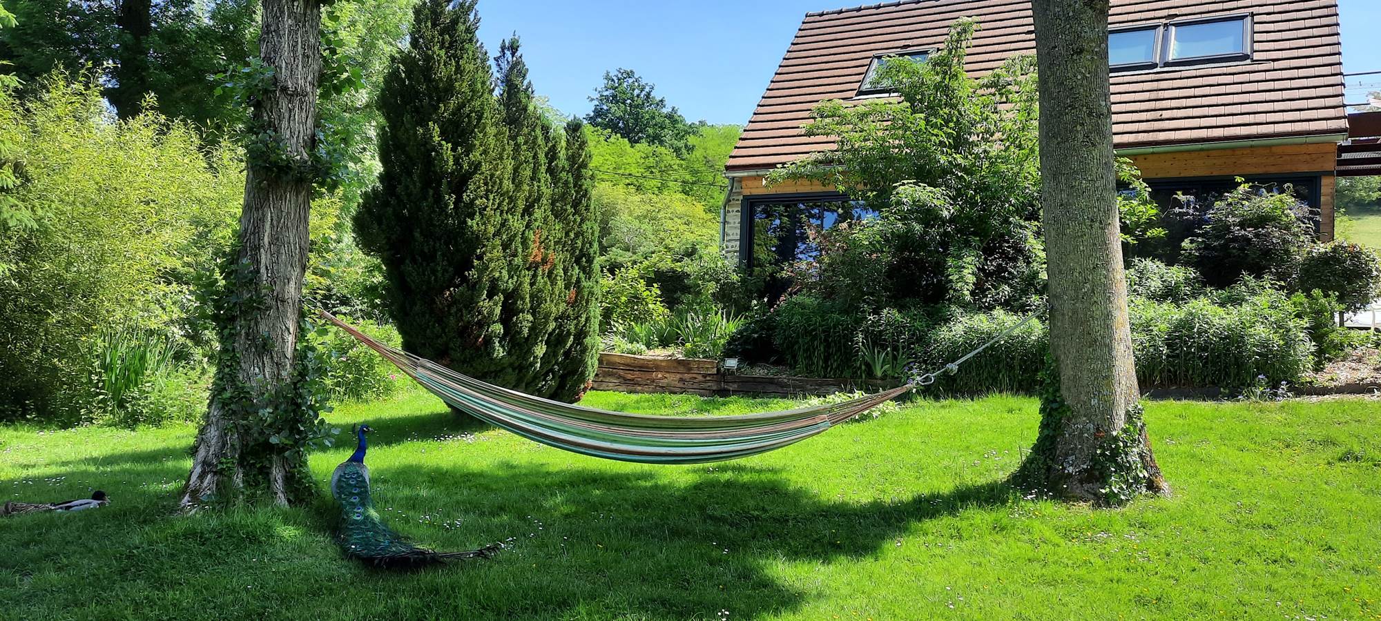 le hamac
